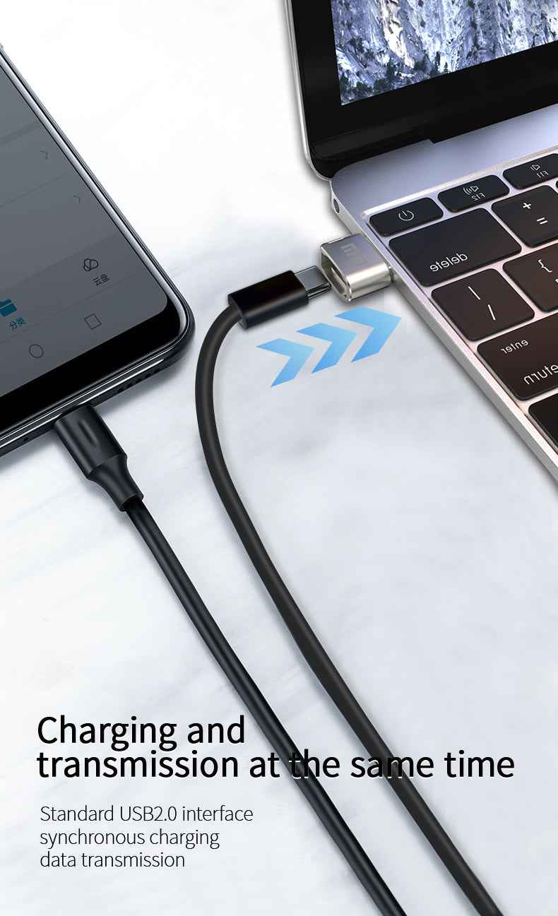 DM USB to Type-C OTG Converter Adapter AD038