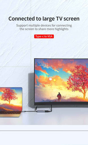 DM Type-C to VGA 1080P 60Hz Converter CHB023
