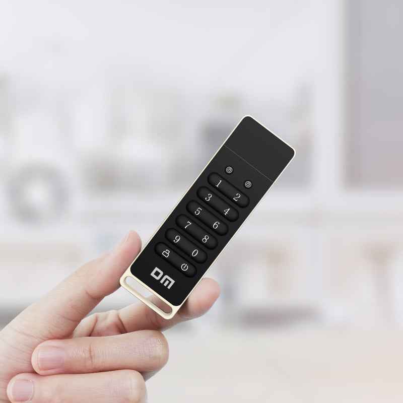 DM Flash Memory With passwords FD063
