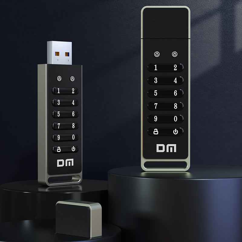 DM Flash Memory With passwords FD063
