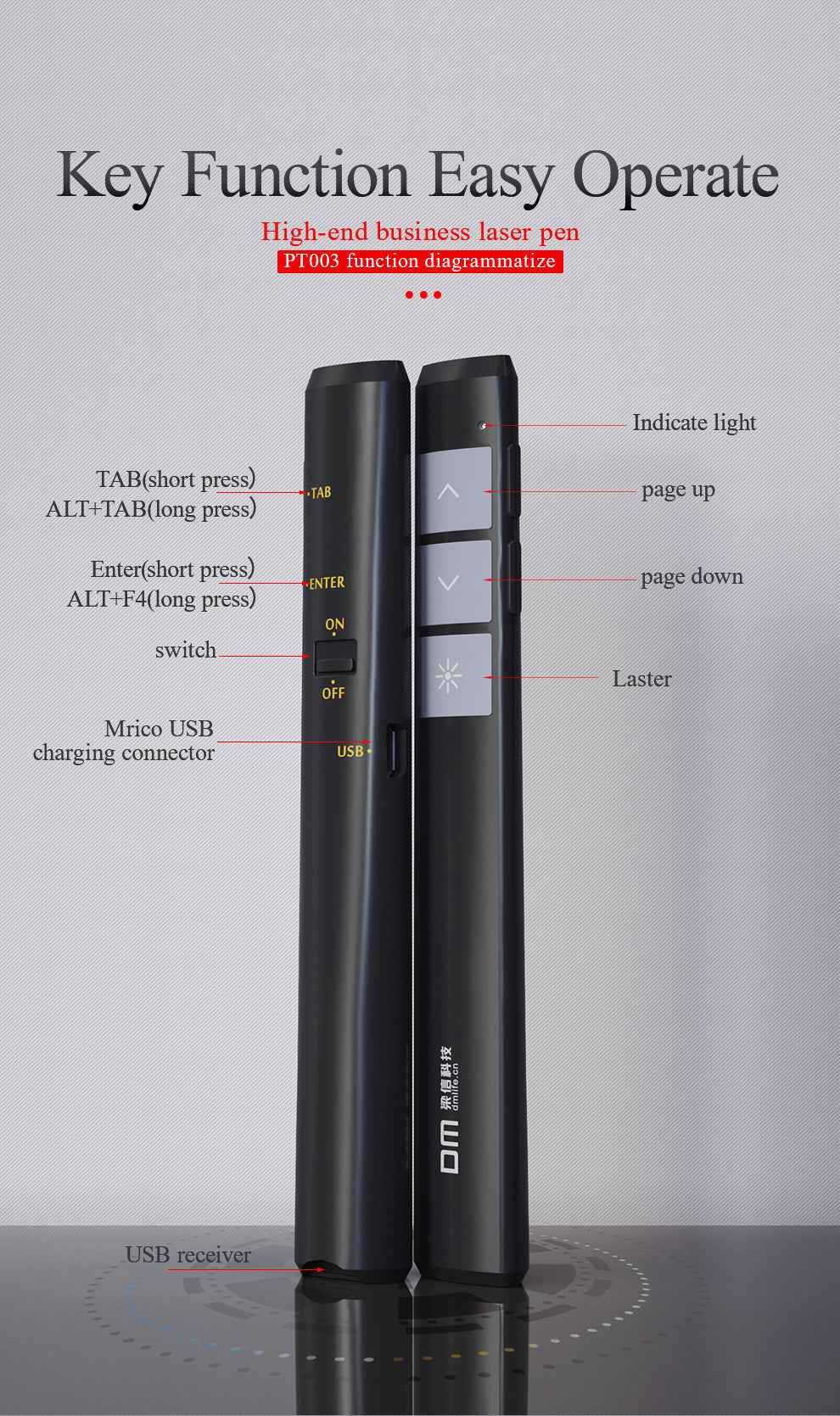 DM Laser pointer with Red light PT003